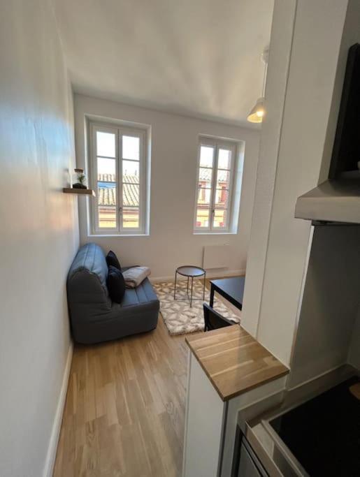 Le Cygne Blanc Hypercentre Rue Riquet Apartment Toulouse