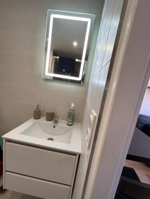Le Cygne Blanc Hypercentre Rue Riquet Apartment *