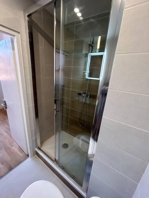 Le Cygne Blanc Hypercentre Rue Riquet